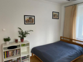 Apartament przy Parku Czartoryskich II